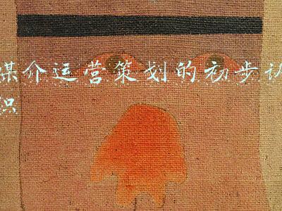 媒介运营投放(什么是媒介工作？)