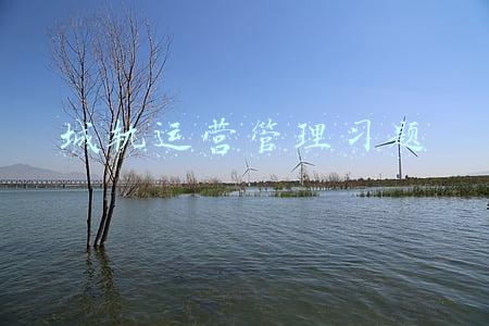 城市轨道交通运营管理期末考试答案(2022开年城市一线观察 |“巴适”之地寻变记——“活力之城”成都2022开年观察)