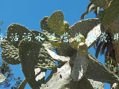 生活污水处理费用(2020年污水处理最新收费机制及政策解读)