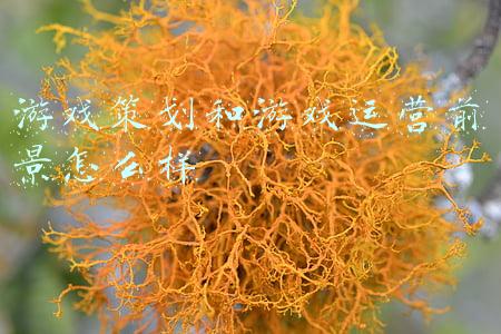 游戏运营有发展前景吗(游戏行业的2021：有人求变，有人出逃)