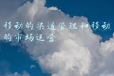 移动的渠道管理和移动的市场运营