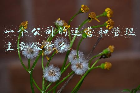 企业运营是做什么的(关于公司运营的一些事)