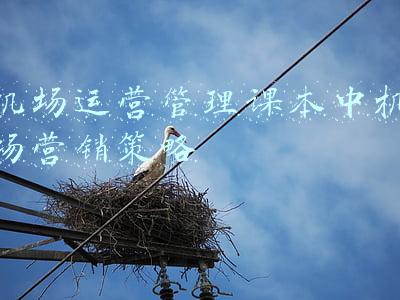 机场运营管理课本中机场营销策略