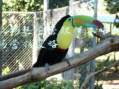 机场营销策略有哪些(大理机场开展“机票下乡”宣传营销活动)