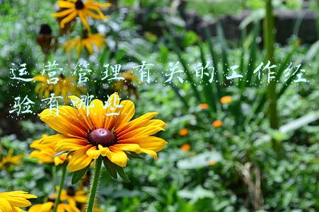 运营经验总结(3月总结文：焦虑中转型事倍功半，总结出一个非常实用的运营之道)