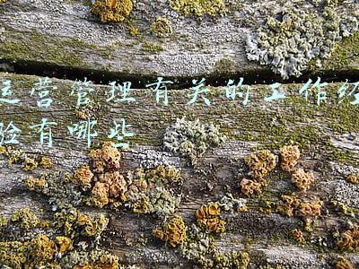 运营工作经验总结(共享汽车从业者：我对共享汽车全运营的经验总结)