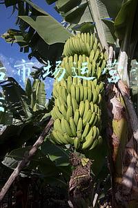 汽车市场营销策略有哪些(数字化时代汽车行业获客营销一击必中的解决方案)