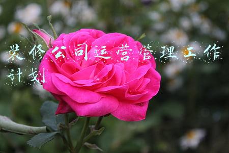 装修管理方案(建设部《家庭居室装饰装修管理试行办法》（有效）)