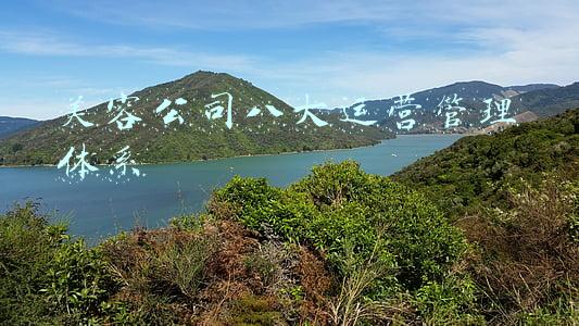 美容公司八大运营管理体系