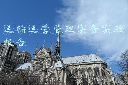 运输运营管理实务实验报告