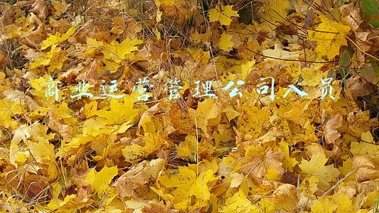 商业运营管理公司人员待遇(浙江省属国企-浙江海港投资运营集团2020薪酬情况)