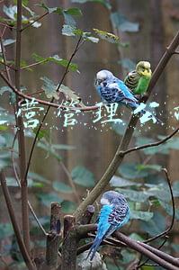 商业物业管理人员配置(物业公司人力资源配置思路)