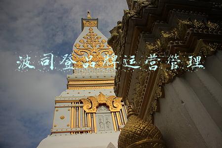 波司登品牌运营管理