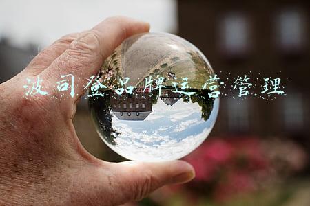 波司登品牌运营管理