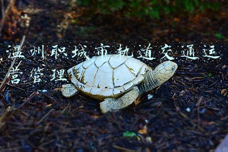 温州职城市轨道交通运营管理