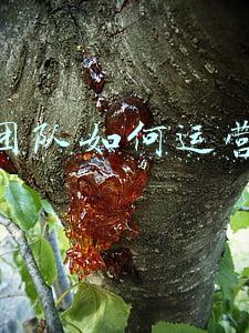 新建团队如何运营管理