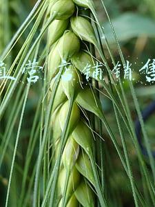 品牌专卖店的运营和管理(实体店该如何突破转型困境，打造持久品牌力？)