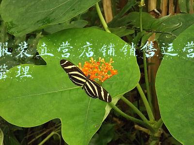 服装运营怎么做(一家可持续服装企业的经营之道)