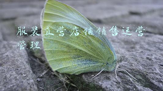 服装终端店铺管理(上市公司终端店铺人事管理办法)