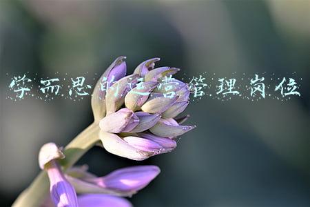学而思运营岗位薪水(深度揭秘：新东方学而思的教师薪酬体系)