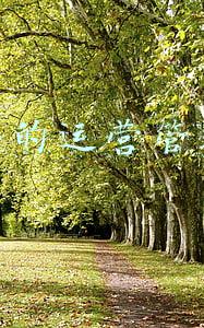 学而思的运营模式(学而思培优变天！北京155个线下校区只剩26个还在开课，将转型线上和素养教育)