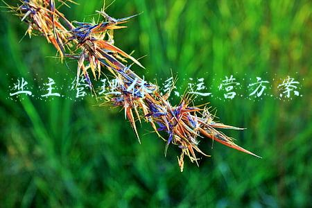 业主管理体系运营方案