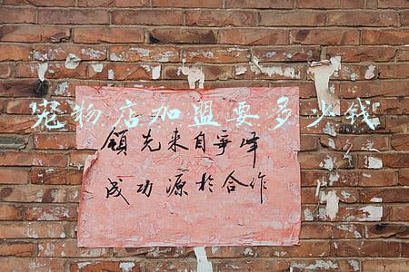 开个宠物店大概需要多少钱(开个宠物店多少钱)