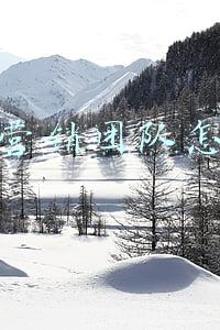 抖音营销团队怎么样