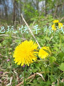 2018玩快手赚钱新闻
