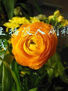 快手直播刷礼物怎么提成(三场连麦带货ROI达1:14.6 快手挂榜电商真“稳赚不赔”？)