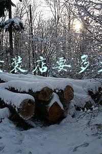 开个童装店大概需要多少钱（开个童装店需要多少钱）
