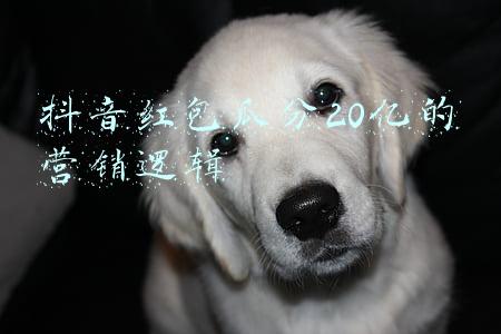 支付宝瓜分15亿红包(支付宝瓜分15亿红包在哪看怎么领取 开奖金额红包地址入口)