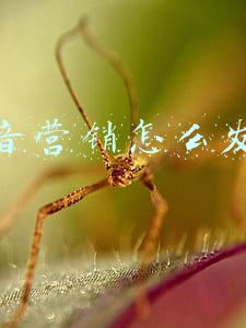 媒体营销的发展现状(2021年中国互联网广告行业市场发展分析：行业总收入不断增长[图])