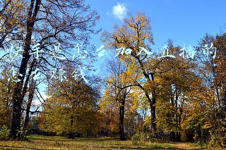 快手是怎么加入直播的怎么赚钱