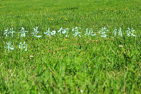 实现政治效果(实现政治效果、纪法效果和社会效果相统一——精准运用监督执纪“四种形态”之五)
