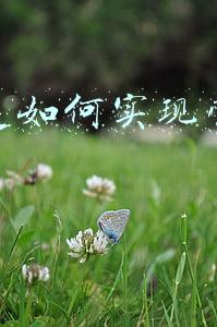 css实现翻页效果(软网推荐：文档秒变3D翻页电子书)