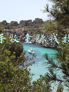快手牧童赚钱数量