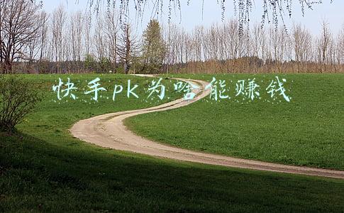 快手pk(二晨快手十秒破pk记录)