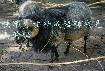 快手秀才猜成语赚钱是真的吗