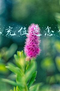 快手科技充值干什么用(支付通道成本6.7亿，快手急需老铁支付)