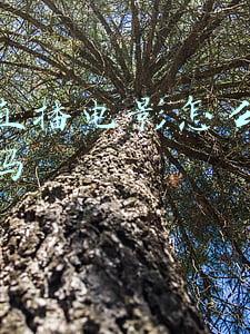 快手直播电影怎么解决版权问题(快手音乐版权结算新规：使用量是核心指标，直播场景纳入)