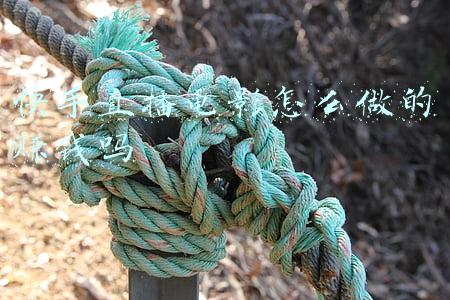 快手怎么直播电影教程(最严新规来了！短视频不能含有这些内容……)