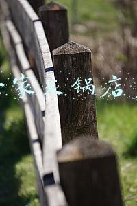 火锅加盟费大概多少-傣妹火锅加盟费大概多少