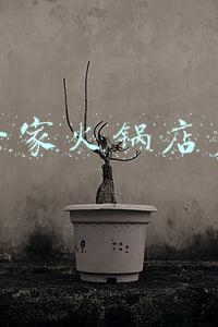 开个火锅店要多少钱投资(开个火锅店要多少钱)