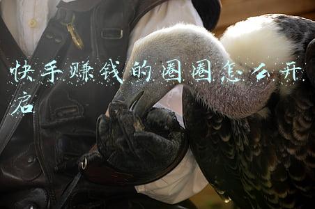 爱的魔力转圈圈(搞笑趣图：美女，爱的魔力转圈圈，你这是有多少的爱啊)