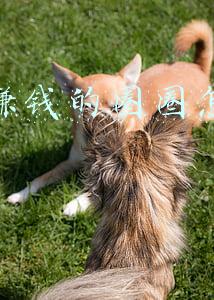 快手赚钱的圈圈怎么开启