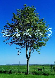 干洗店投资多少：开家干洗店成本多少