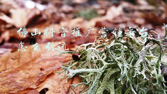 佛山抖音推广营销平台怎么引流