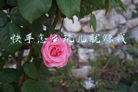 陪玩儿平台(游戏陪玩成涉黄重灾区，比心、咪呀等多款APP遭下架)