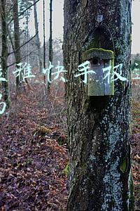 喜马拉雅赚钱(我的VIP都充到2028年了，喜马拉雅怎么还不赚钱？)